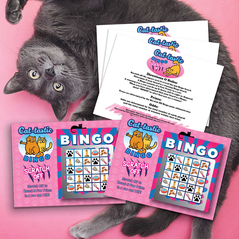Celebrating International Cat Day: 6 Purr-fect Ways to Speak the Language of Cat + Fun Game ideas for your next gathering