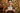 Holiday Gold Ticket – Teen Boy Extra Tight Crop